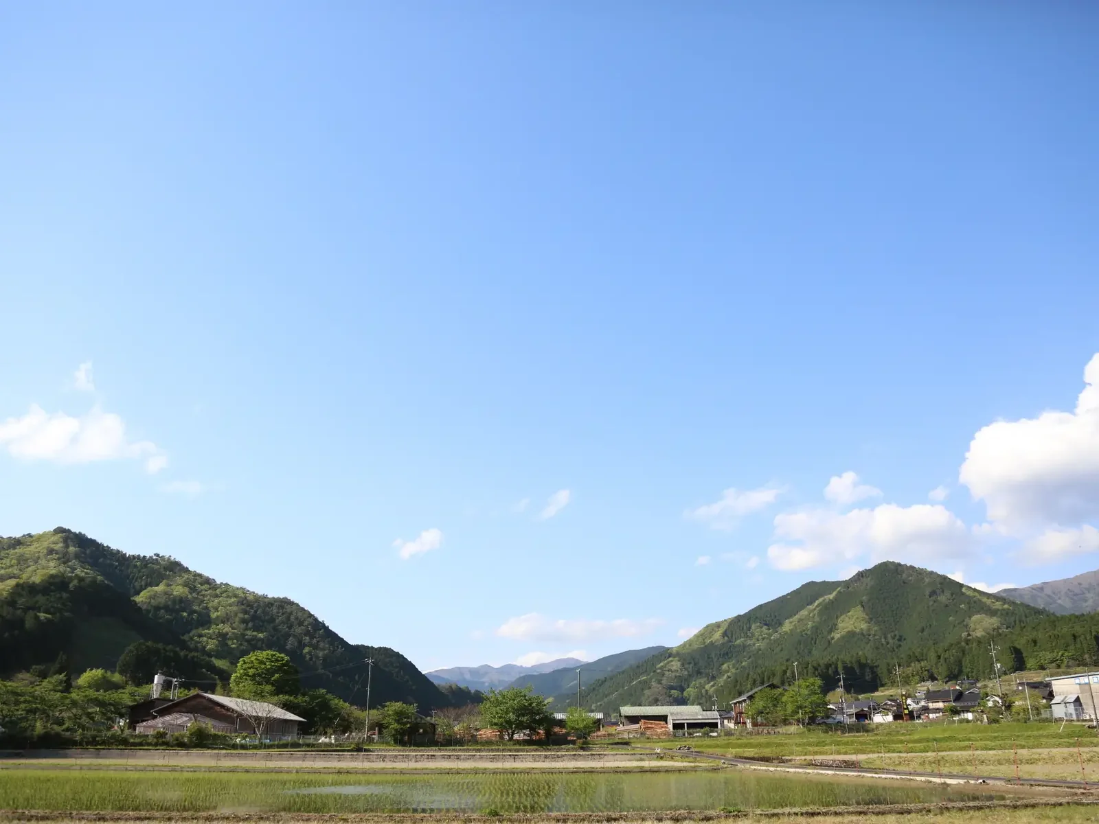 森と田畑が広がる地域の風景