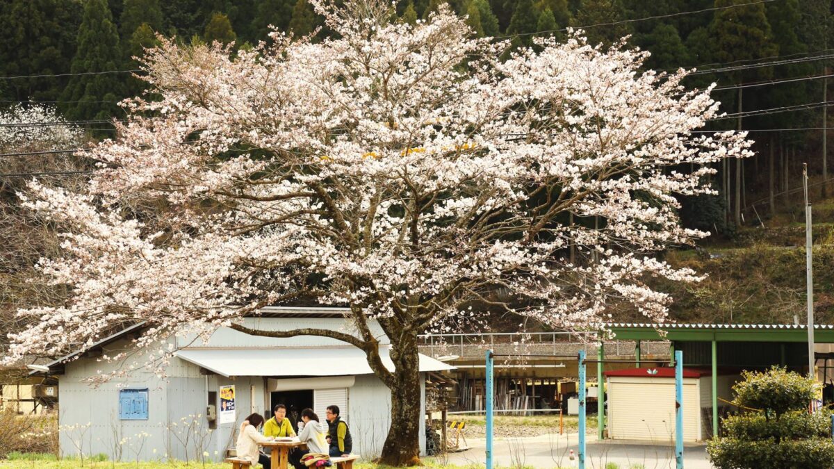 第3回：事例深掘り（2）岡山県西粟倉村 – 挑戦者が交差し、未来が創発するエコシステム