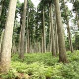 第2回：事例深掘り（1）岡山県西粟倉村 – 「百年の森林構想」とローカルベンチャーの聖地化