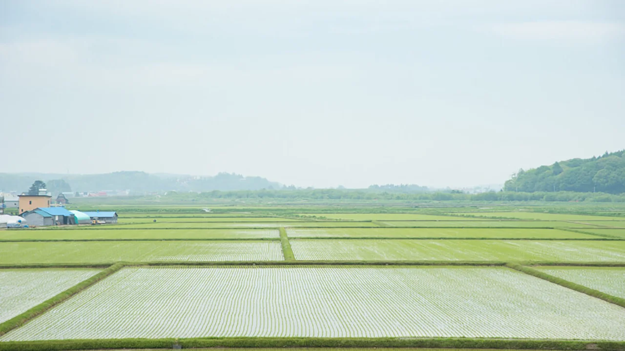 北海道厚真町の自然と地域の風景